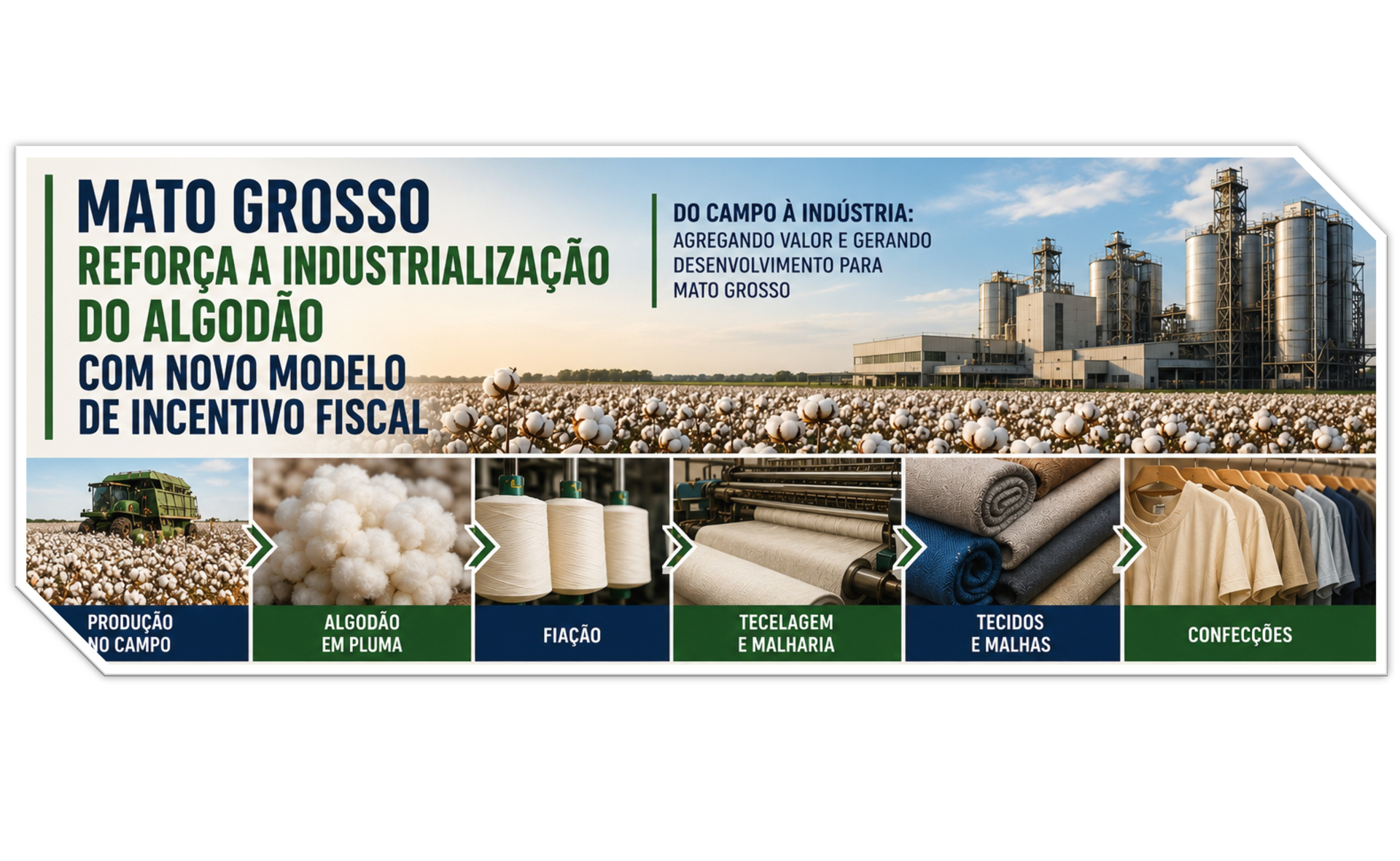 Mato Grosso refor�a a industrializa��o do algod�o com novo modelo de incentivo fiscal 