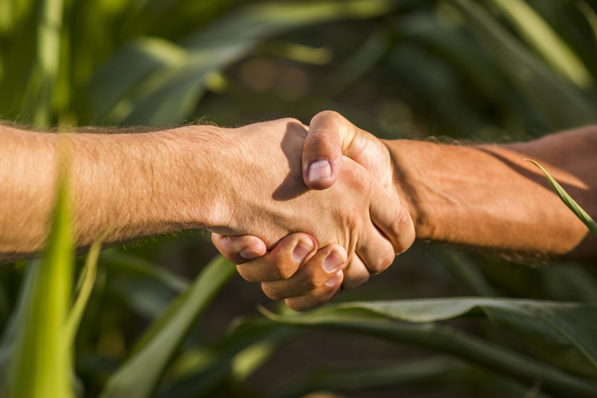 Governo de Goi�s soluciona impasse hist�rico e beneficia mais de 10 mil produtores rurais