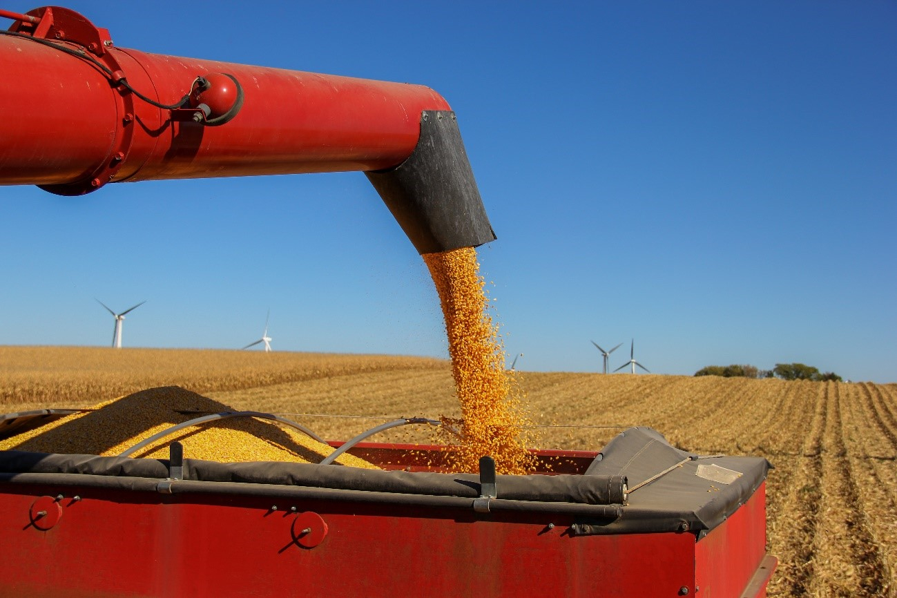 Tratamentos Fiscais aos Produtores Rurais do Piau�